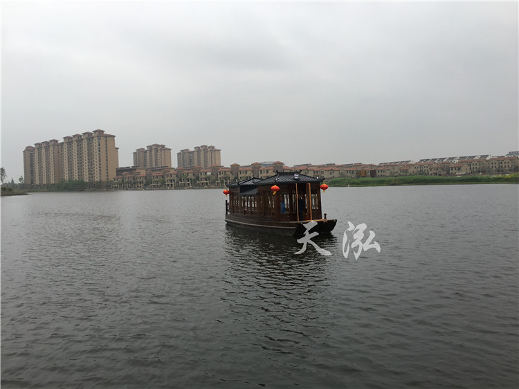 觀光小畫舫船004